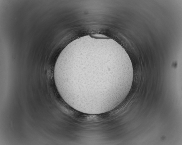 X0000099500091200806121425