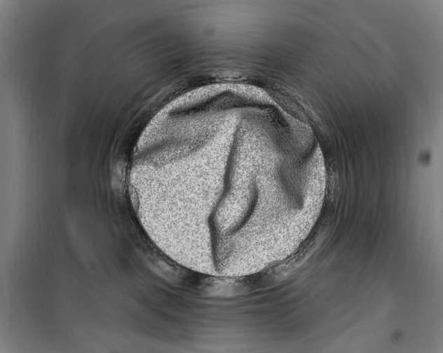 X0000099500093200806121425