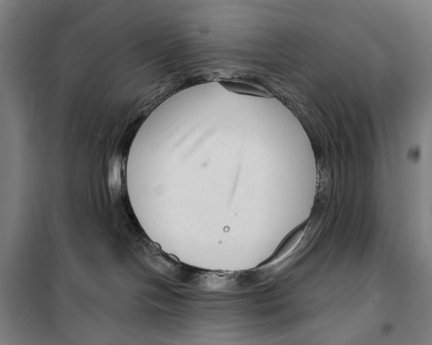 X0000099500094200806121425