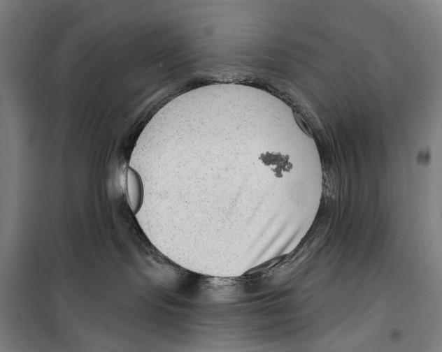 X0000099500095200806121425