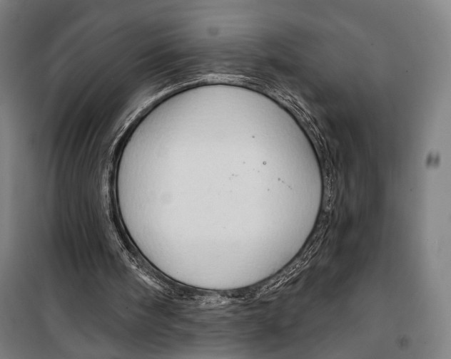 X0000099500098200806121425