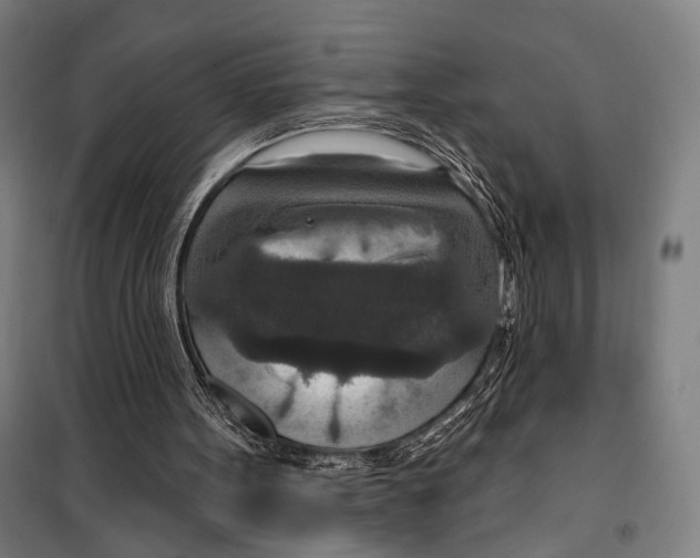 X0000099500099200806121425