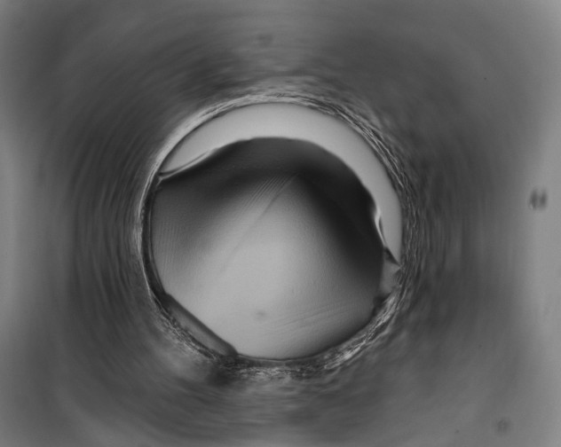 X0000099500100200806121425