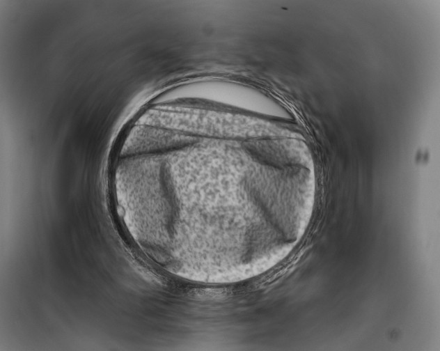 X0000099500102200806121425