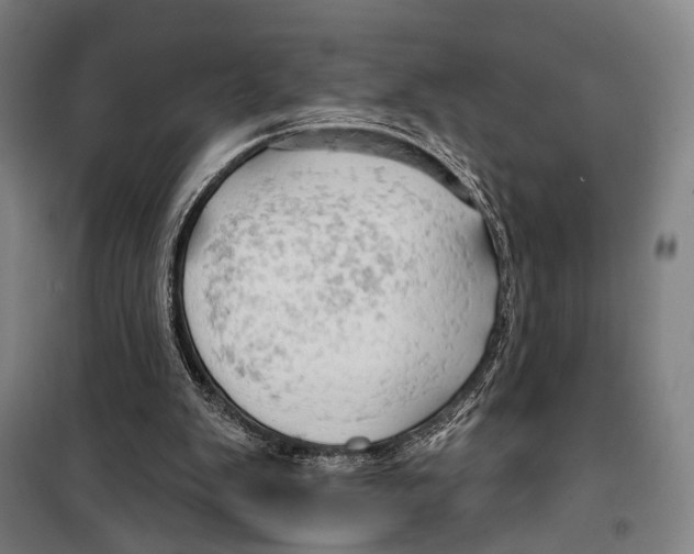 X0000099500103200806121425