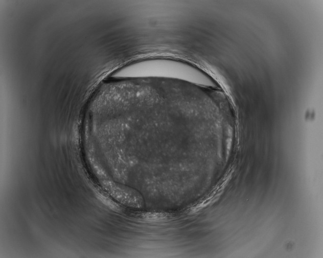 X0000099500105200806121425