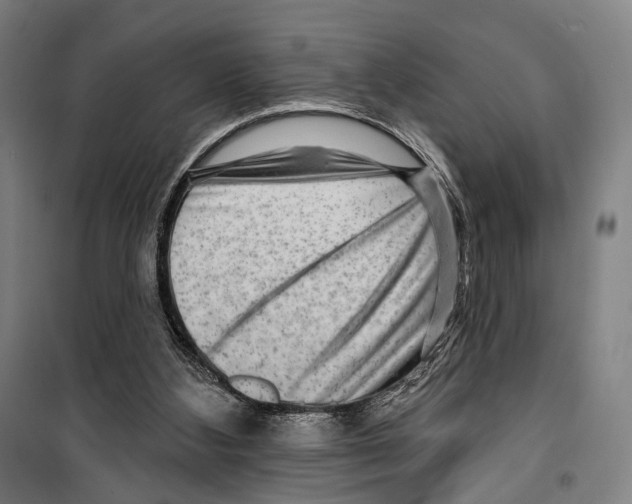 X0000099500108200806121424