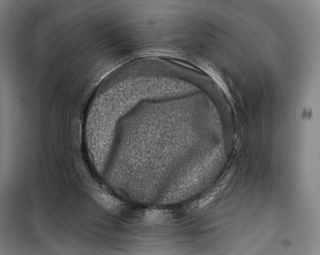 X0000099500109200806121424