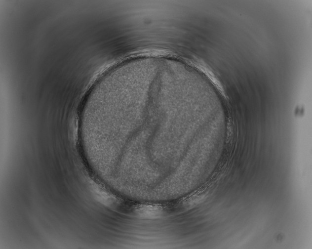 X0000099500110200806121424