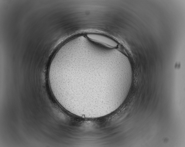 X0000099500111200806121424