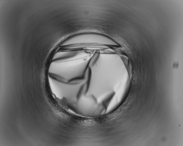 X0000099500112200806121424