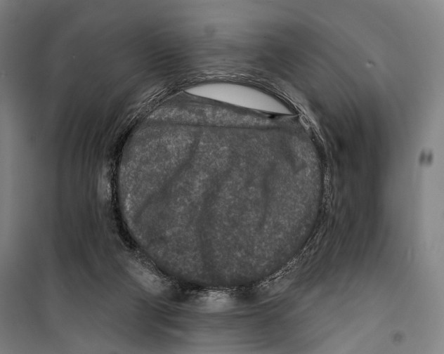 X0000099500114200806121424