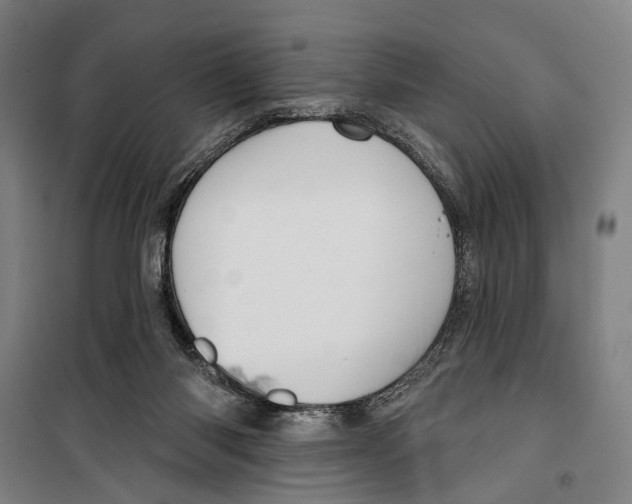 X0000099500118200806121424