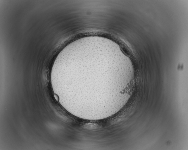 X0000099500119200806121424