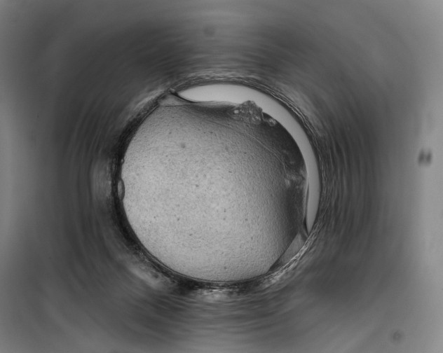 X0000099500120200806121424