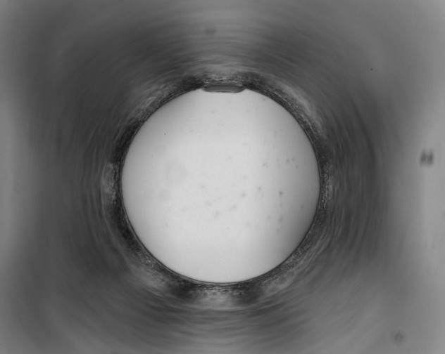 X0000099500121200806121424