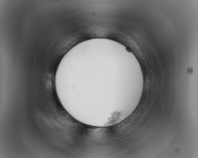 X0000099500122200806121424