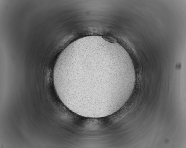 X0000099500123200806121424