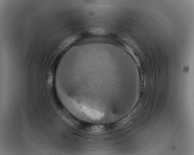 X0000099500124200806121424