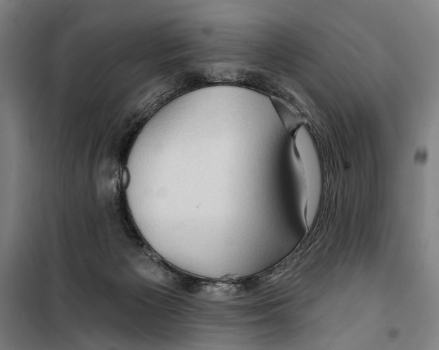 X0000099500125200806121424