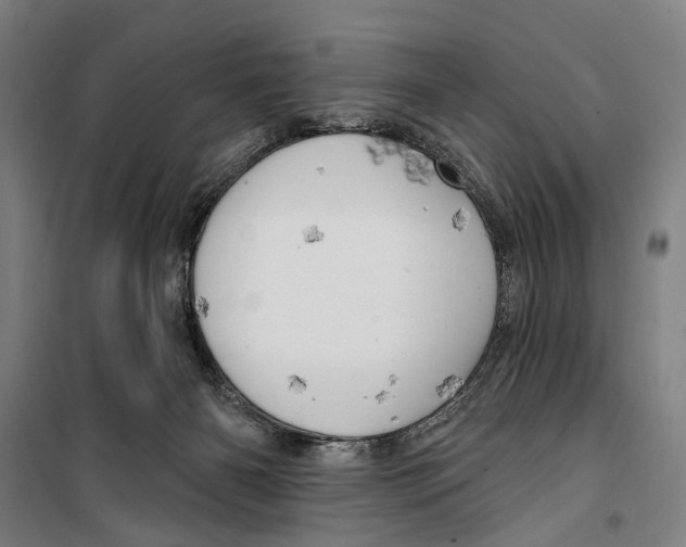 X0000099500126200806121424