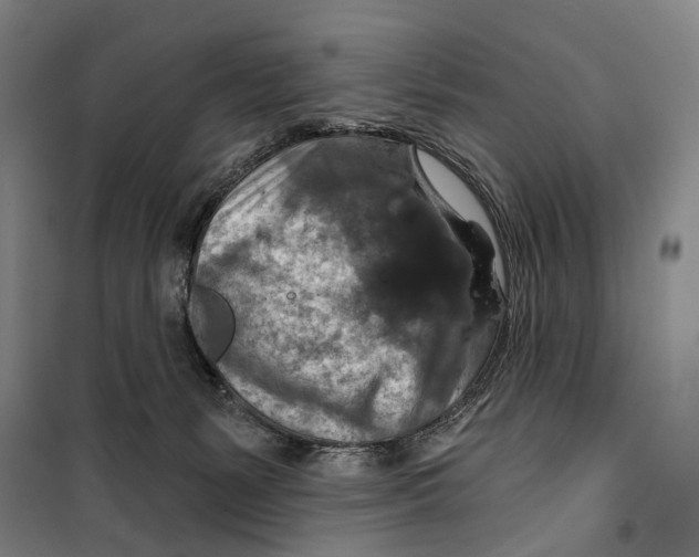 X0000099500127200806121424