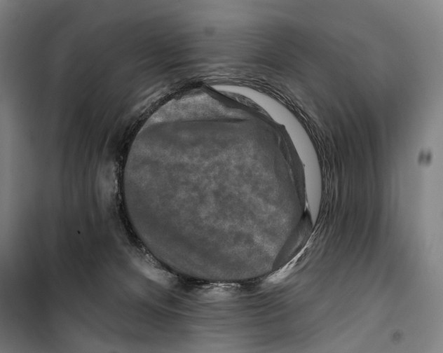 X0000099500128200806121424