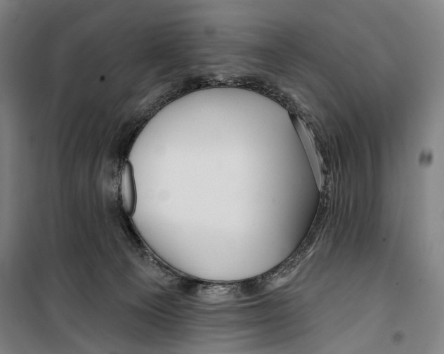 X0000099500129200806121424