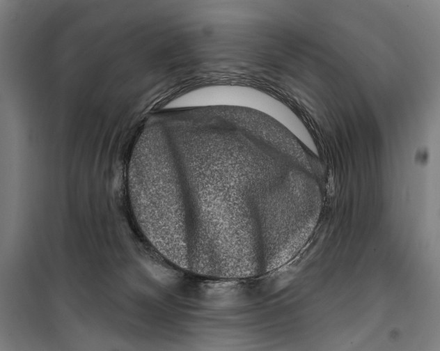 X0000099500132200806121424