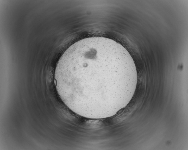 X0000099500133200806121424