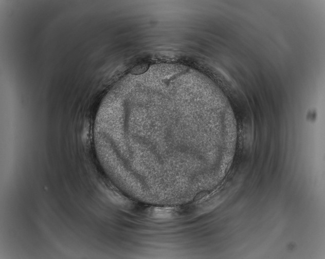 X0000099500134200806121424