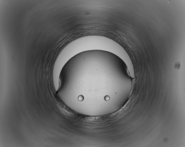 X0000099500136200806121424