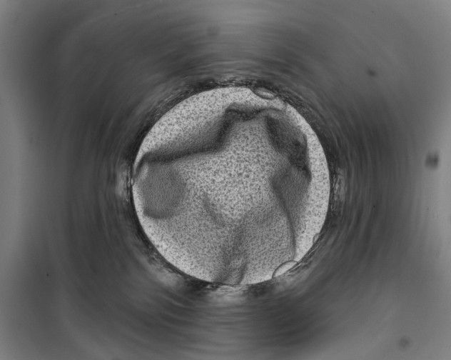 X0000099500138200806121424