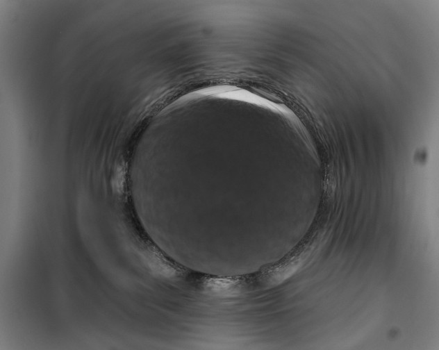 X0000099500139200806121424