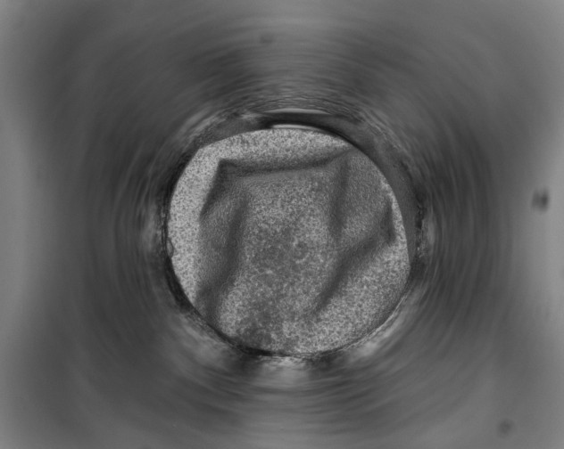 X0000099500140200806121424