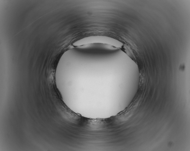 X0000099500141200806121424