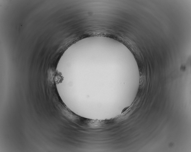 X0000099500142200806121424