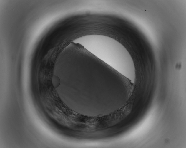 X0000099500143200806121424