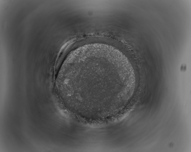 X0000099500144200806121424