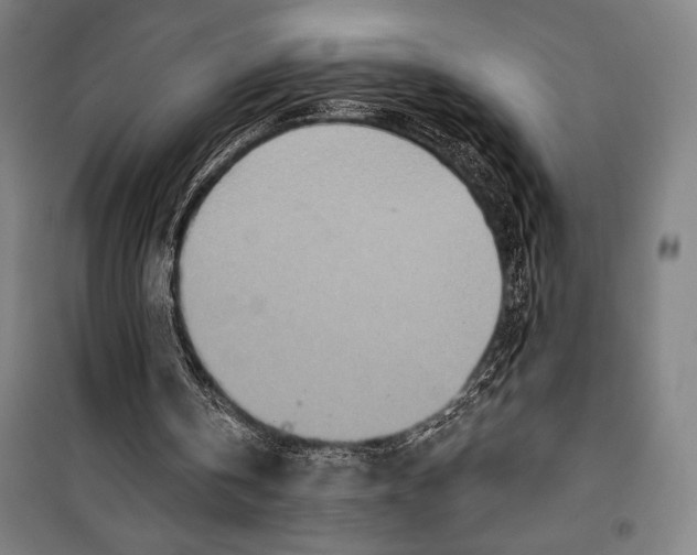 X0000099500146200806121423