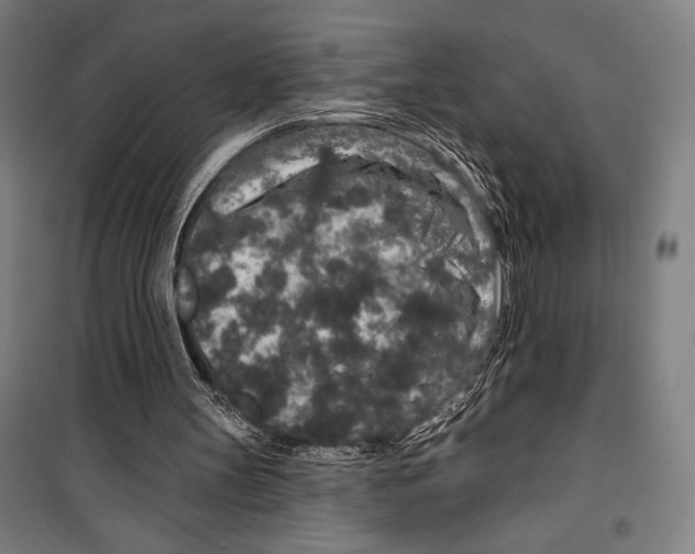 X0000099500147200806121423