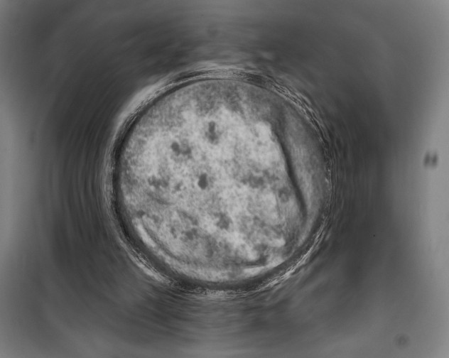 X0000099500149200806121423