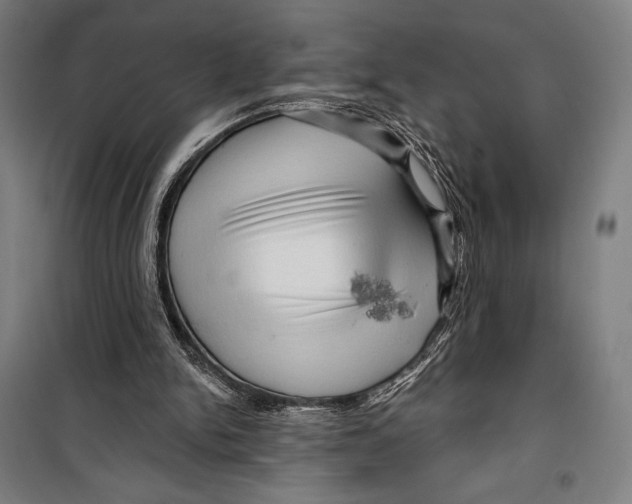 X0000099500150200806121423