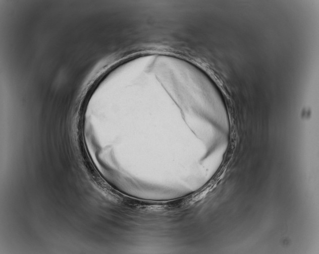 X0000099500151200806121423