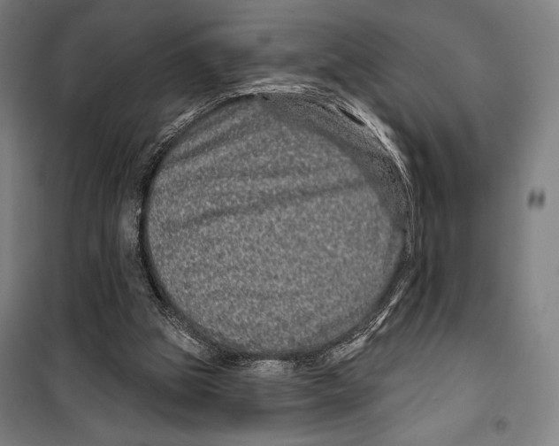 X0000099500153200806121423