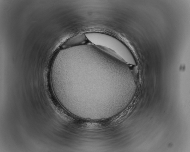 X0000099500154200806121423