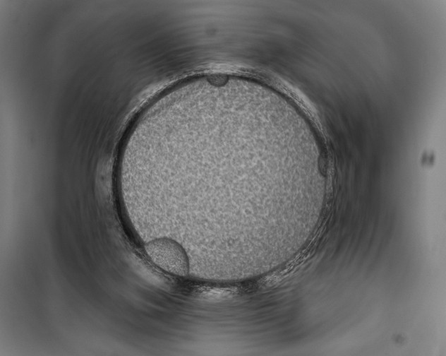 X0000099500155200806121423