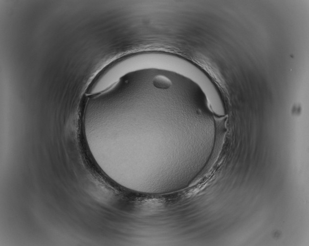 X0000099500156200806121423