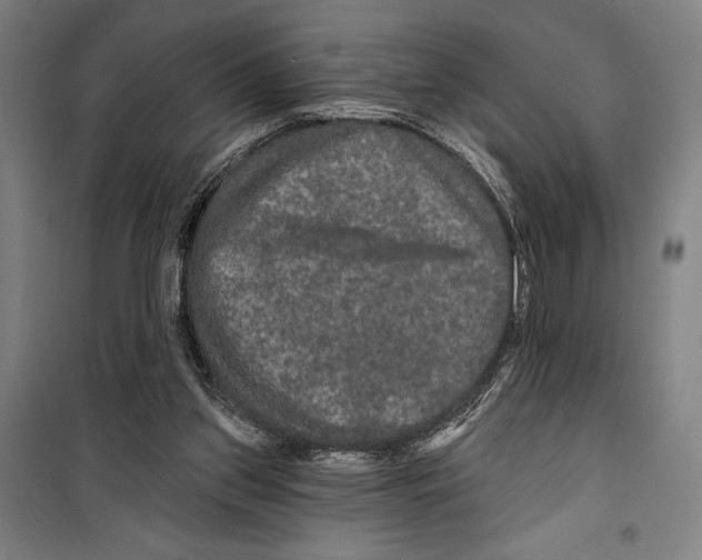 X0000099500157200806121423