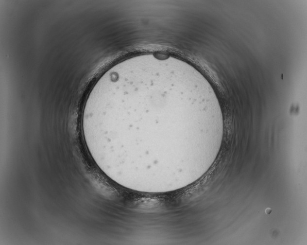 X0000099500159200806121423